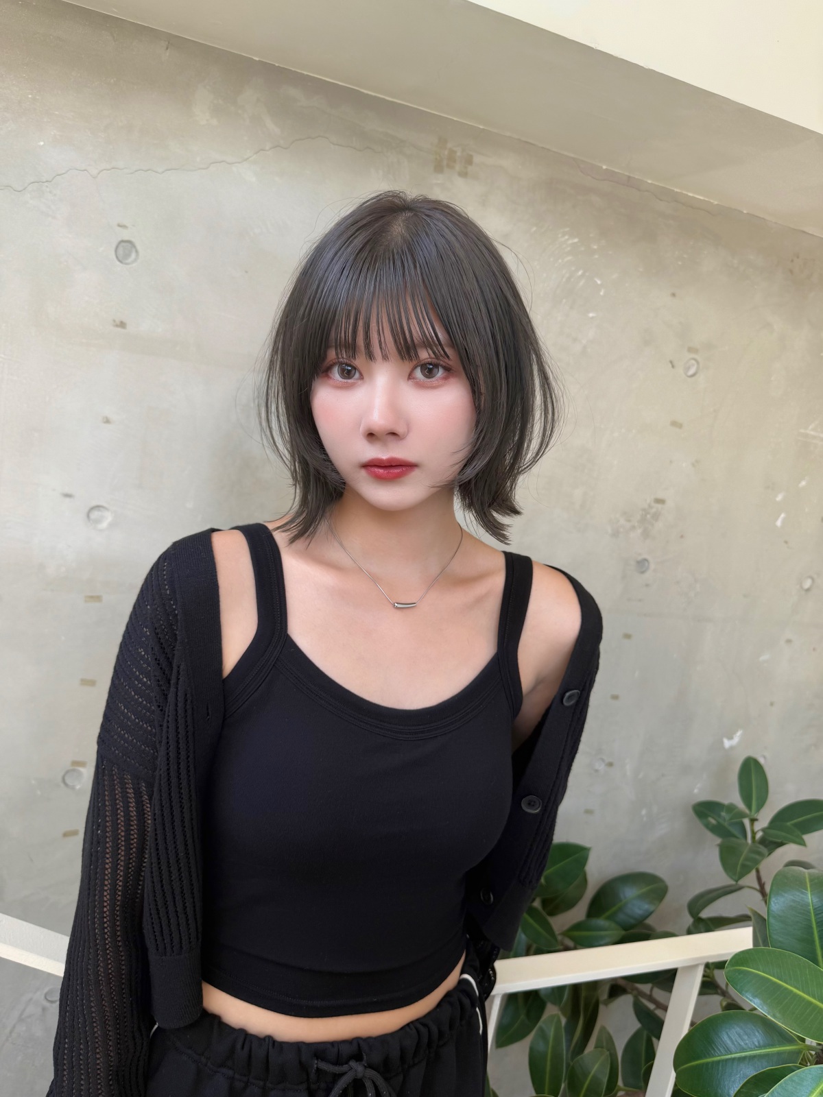 ���꡼�֥��졼�ߥܥ֥쥤�䡼