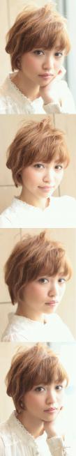 ͥ奢 2012  ήԥإ 333