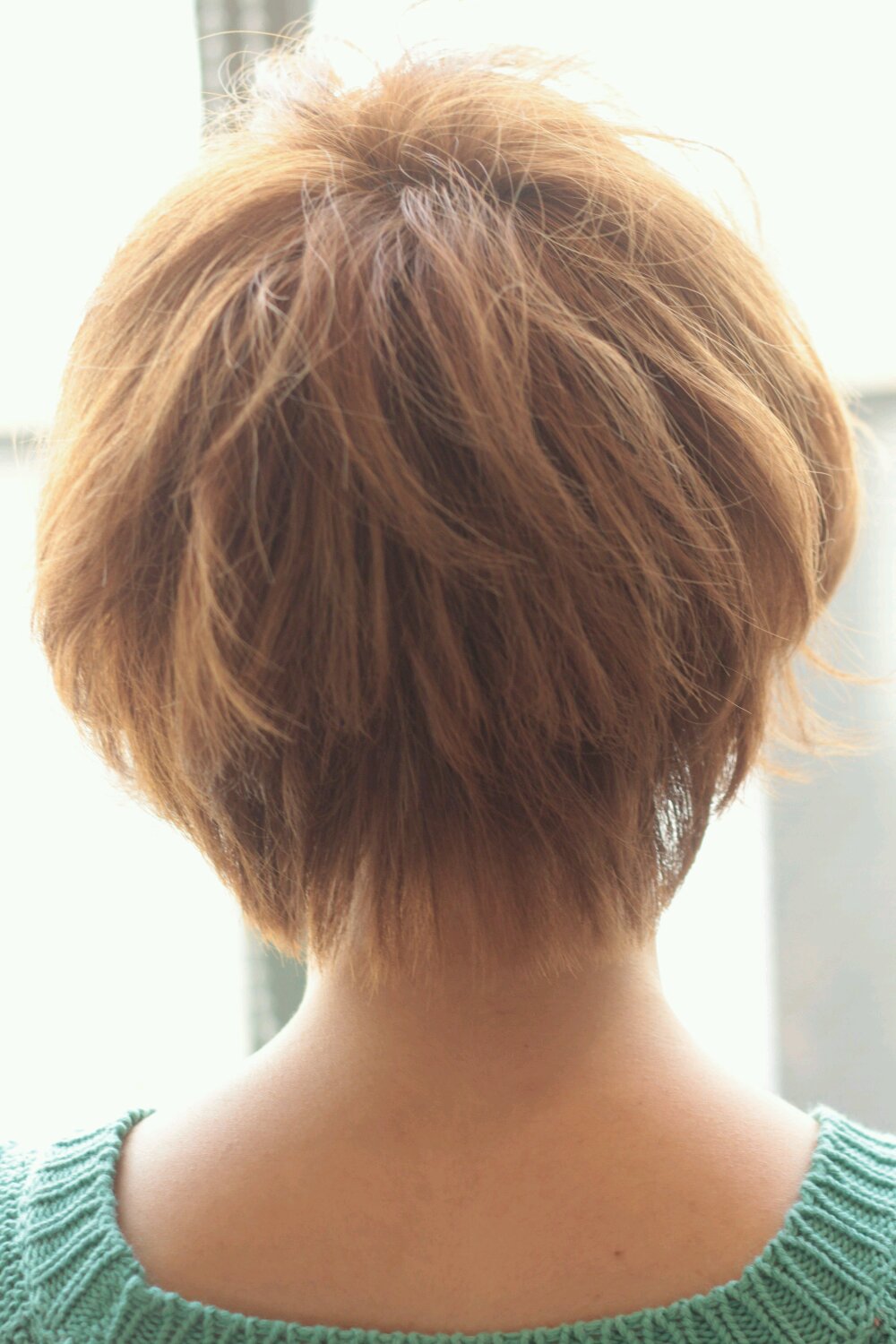 奢륷硼 2012-2013 - ήԥإ 339