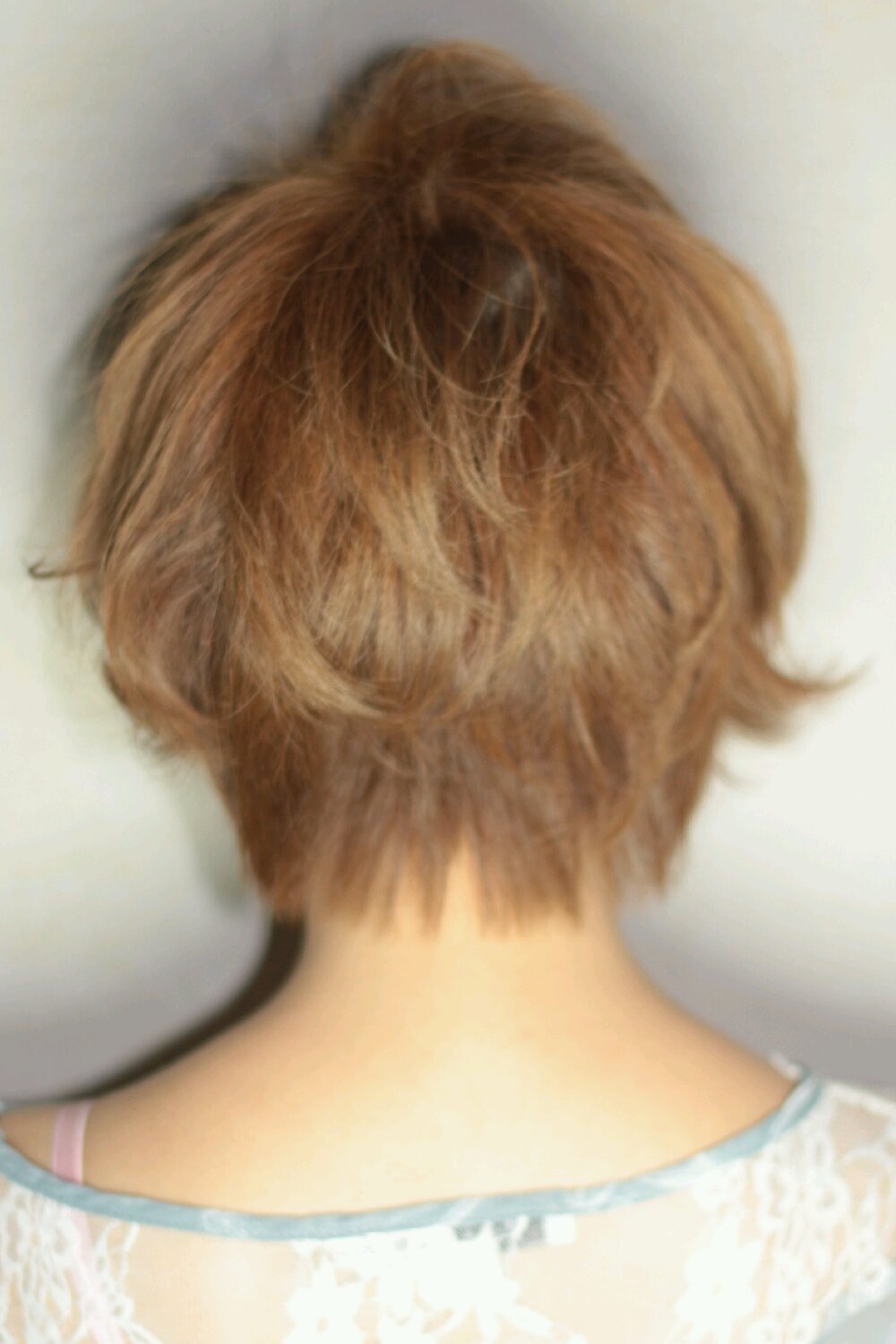 ͥ奢 2012-2013 - ήԥإ 345
