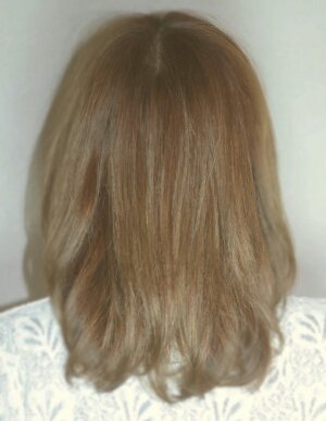 ݥ 2013  ήԥإ 353