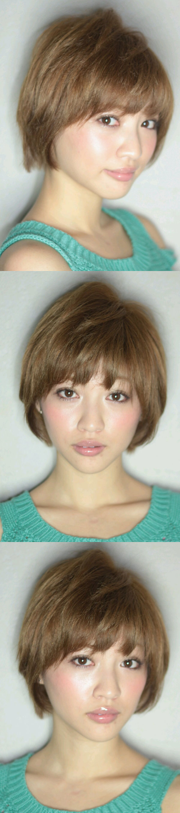 ͥ奢 硼 2013  ήԥإ 354