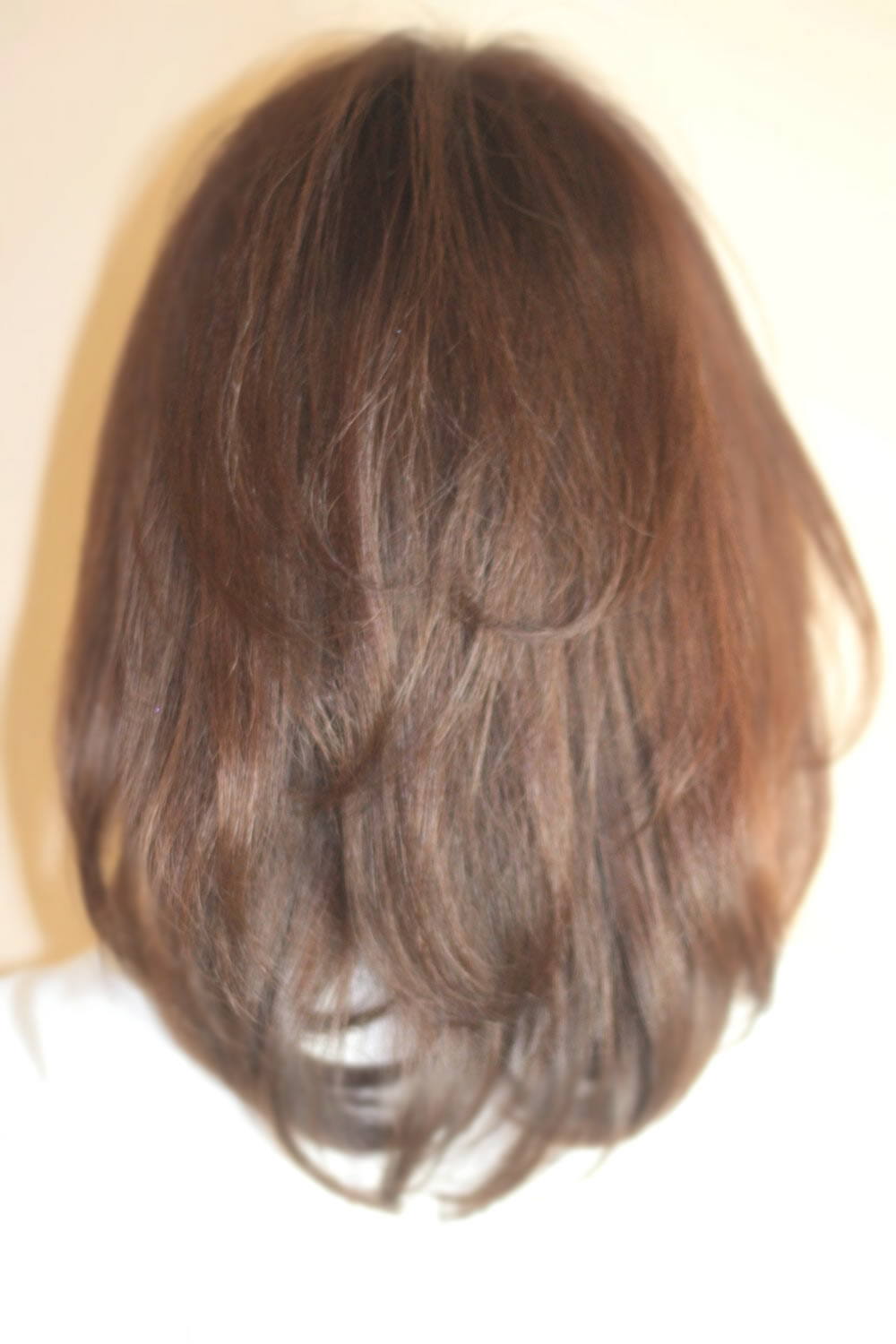  2013  ήԥإ 356