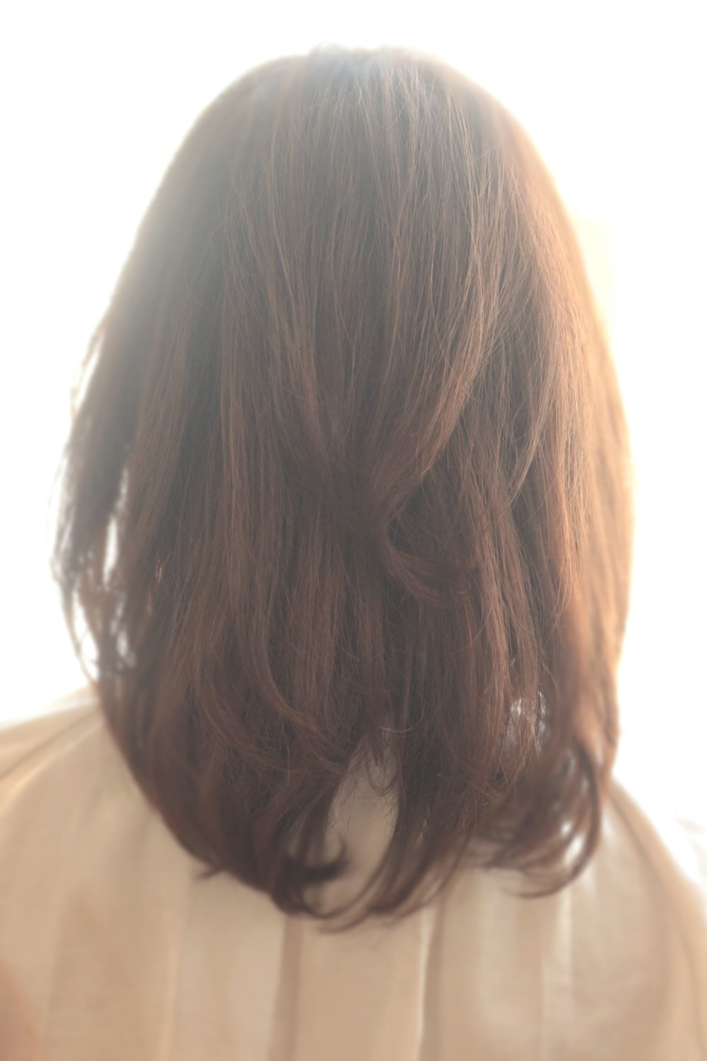 ݥ 2013  ήԥإ 366