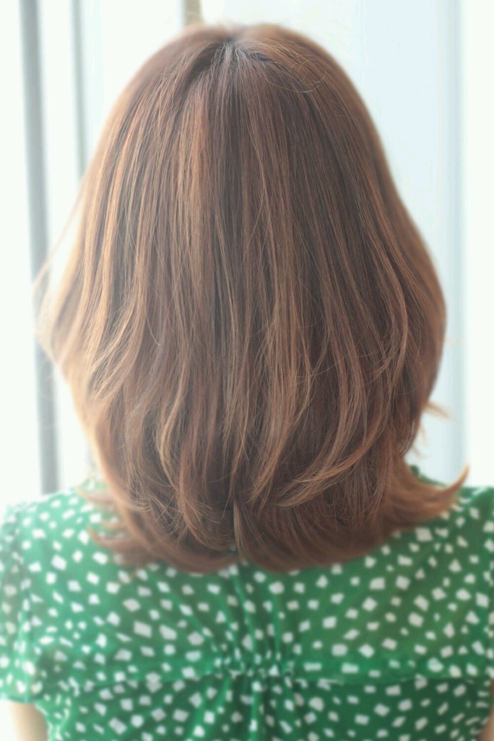 Ӥ쥹ΤĤ 2013 ղ إ 390
