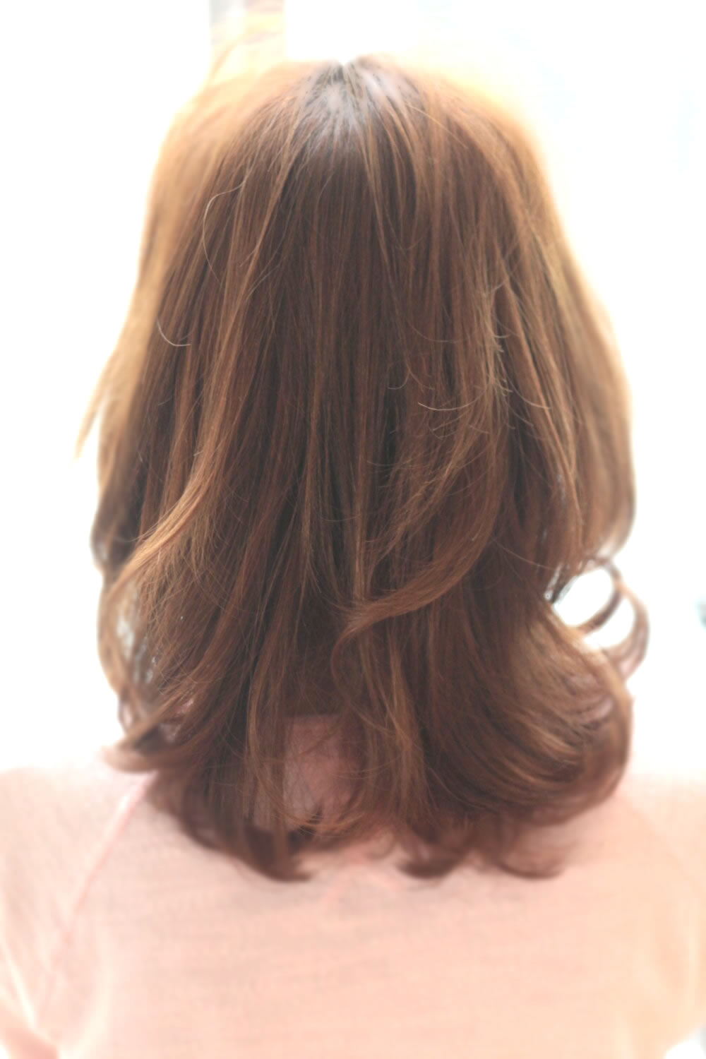Ӥ쥹ΤĤ 2013 ղ إ 394