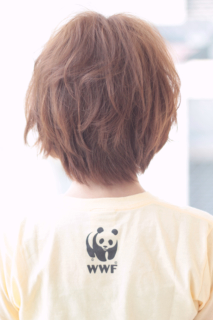 ˥奢󥹥硼