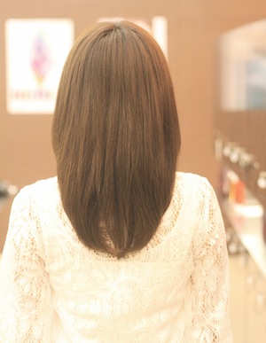 ʥ륹ȥ졼ȥإ롡2013