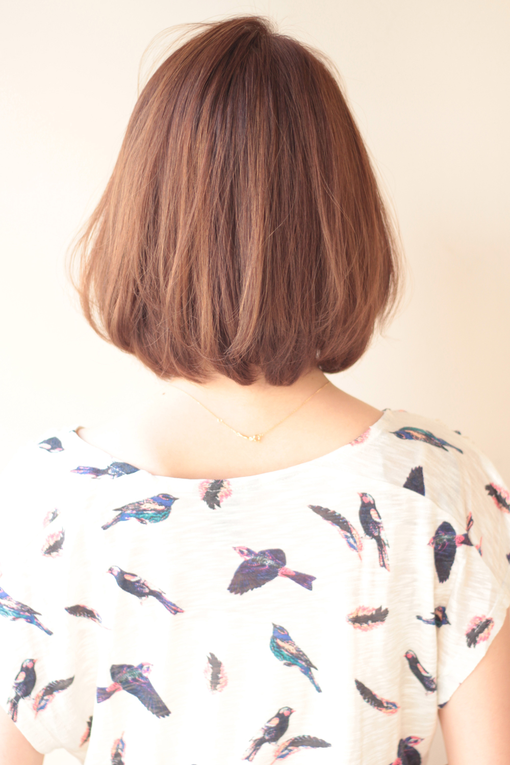 ˥奢󥹿Фܥ