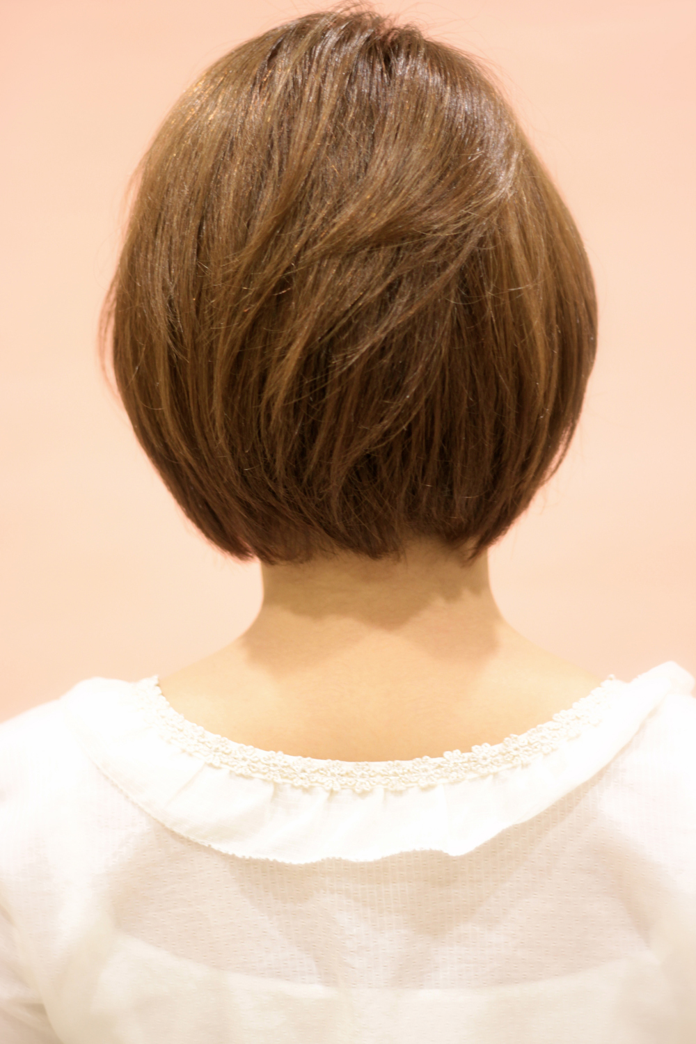 ʥ륷硼