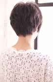 ʥҤ硼ȡH-28