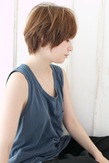 硼ȥ쥤䡼δñ󥰡H-229