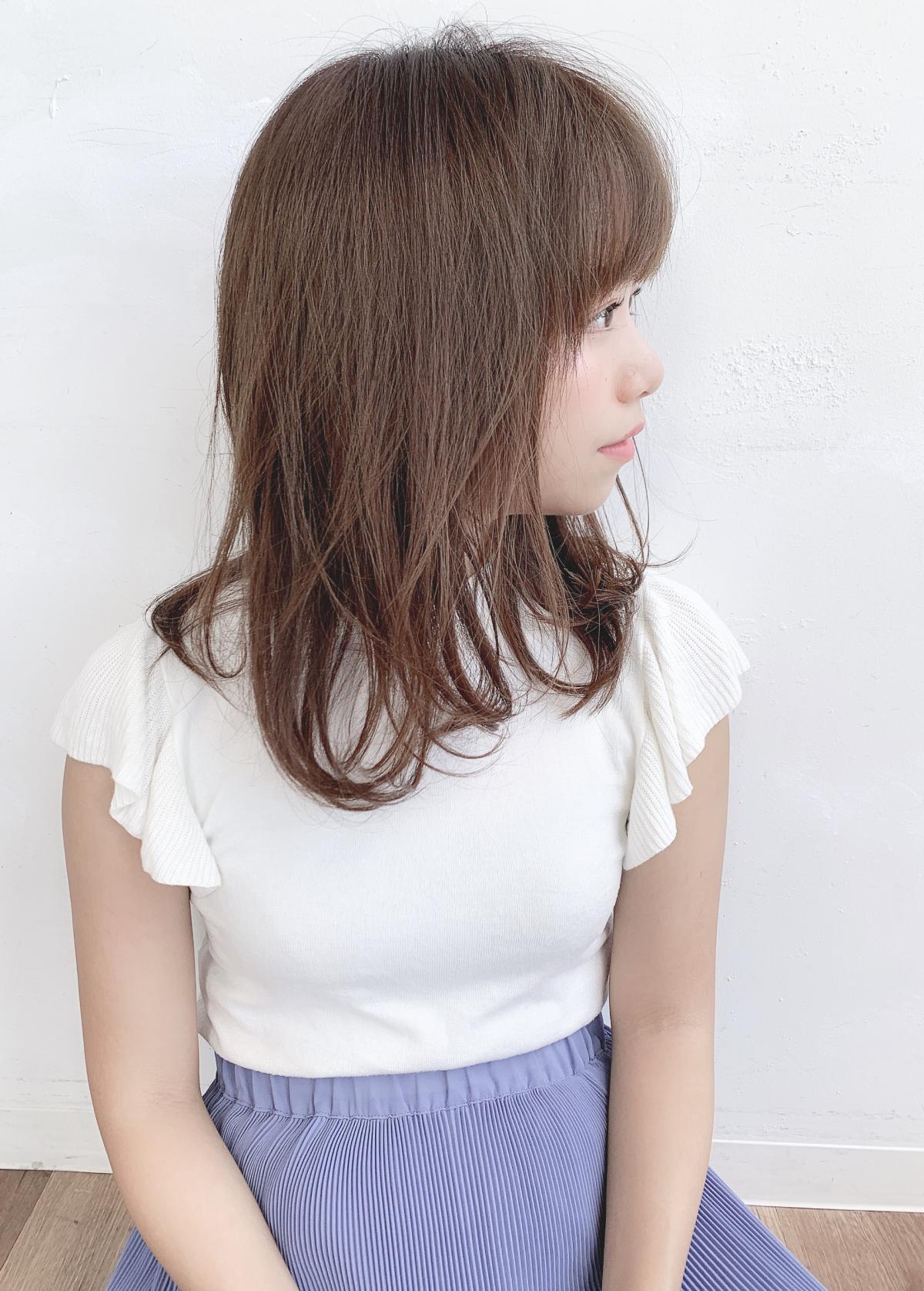 ߥǥ쥤䡼إH-731