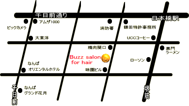 Buzz salon for hair 　 