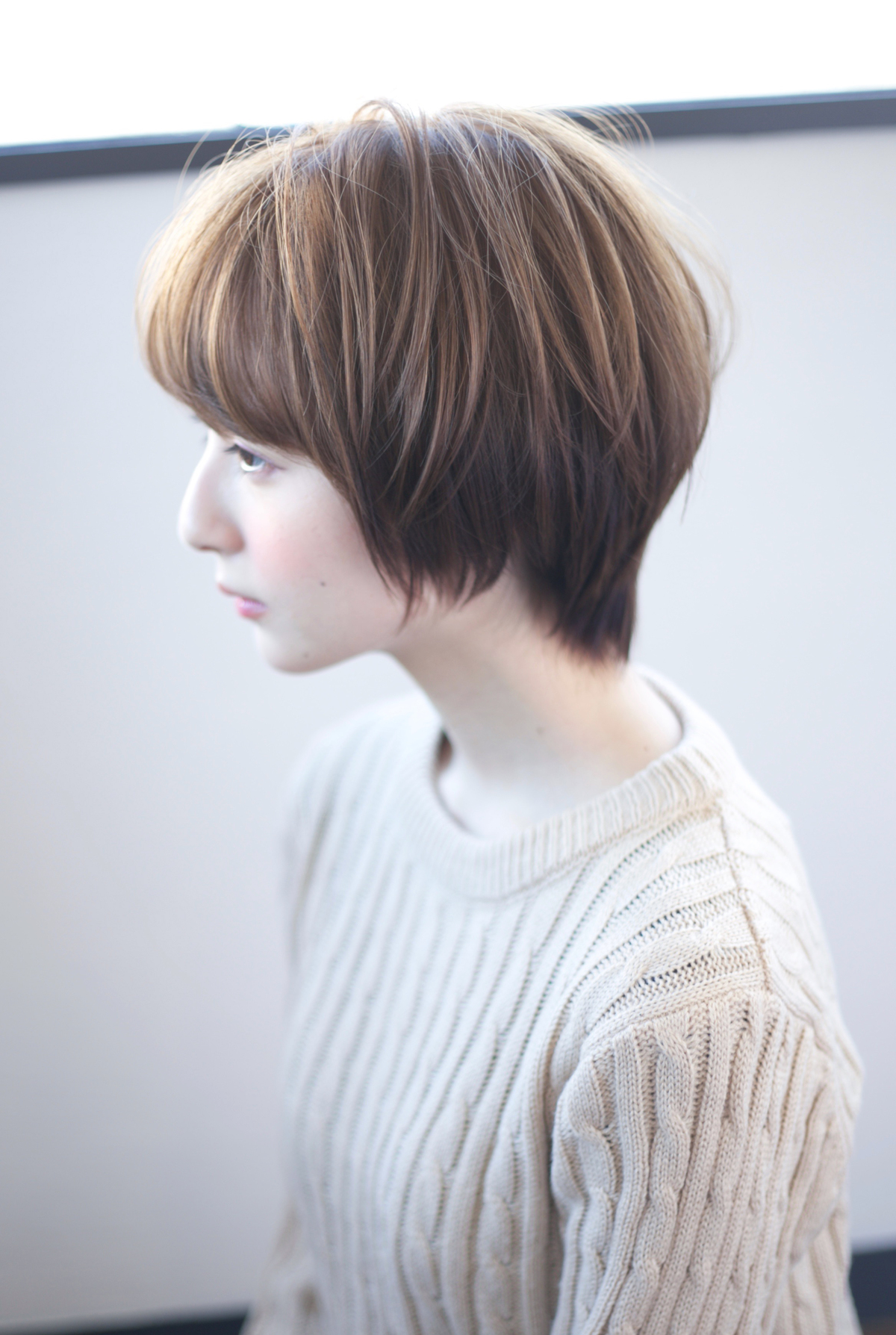 ʥ륷硼ȥåȡN-9