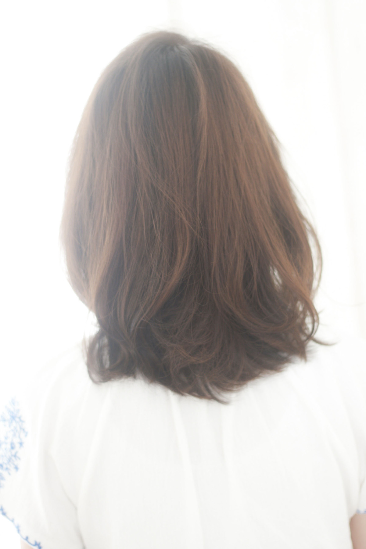 ʥ奢ߥǥs-242