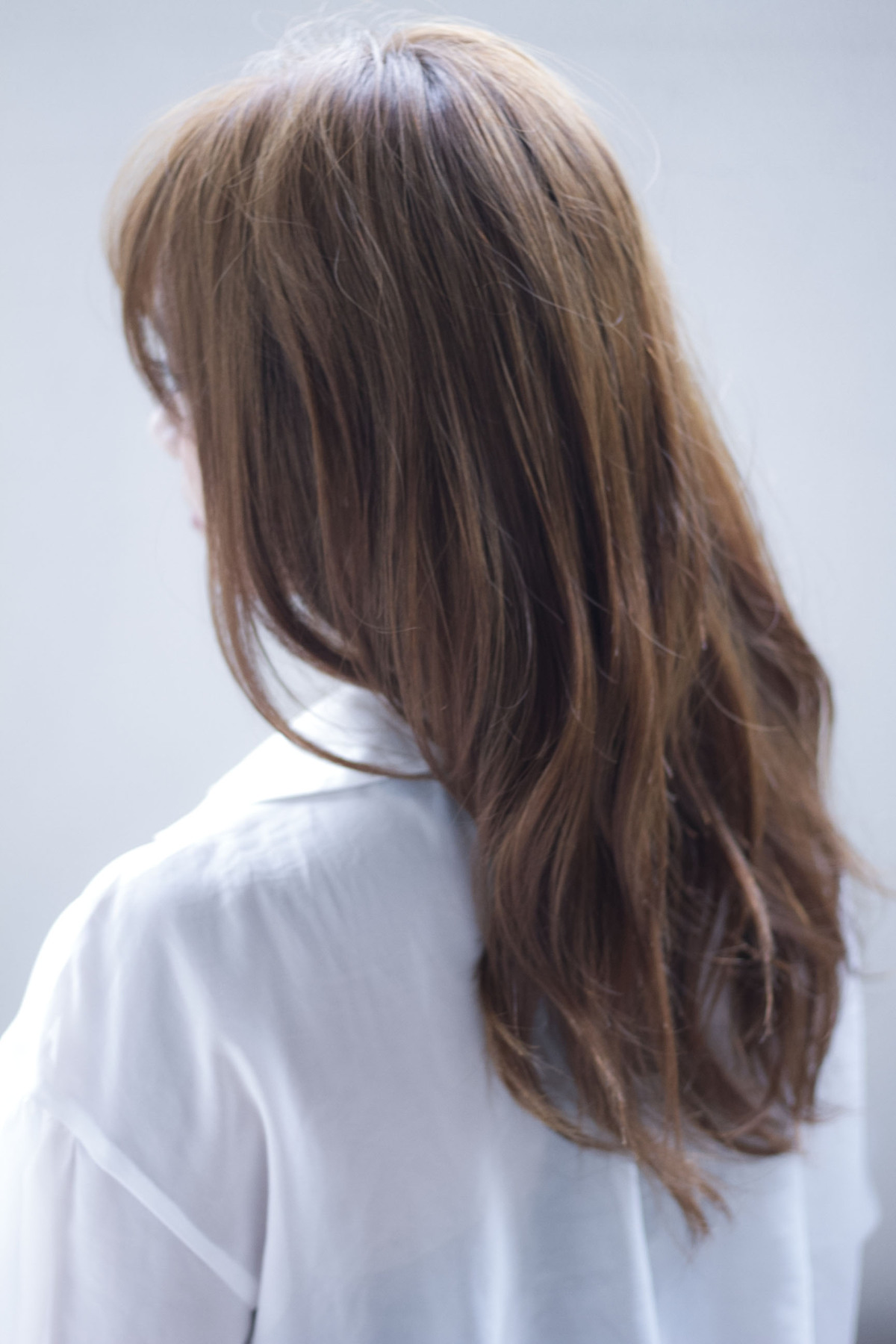 ͤƩإ顼֥롼åΥs-417