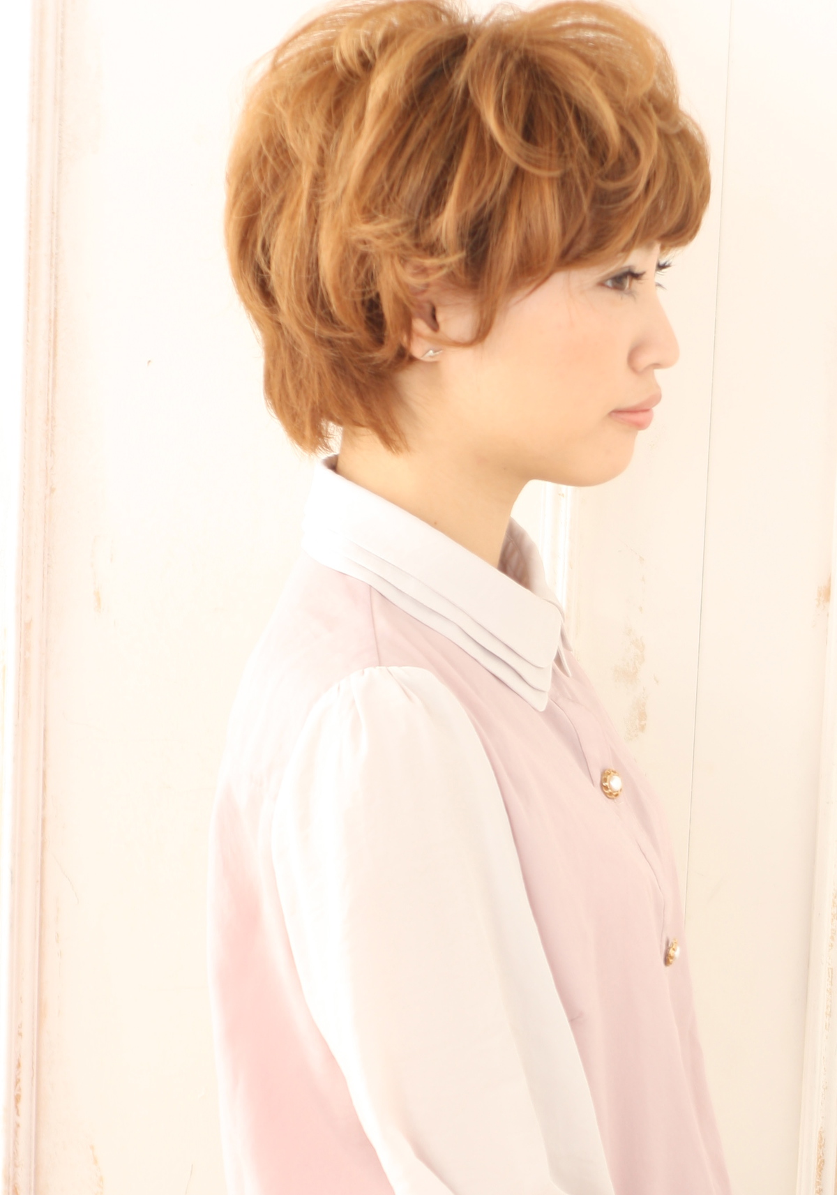 2013 ǿ ʥإ