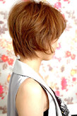 Ӥ쥷硼ȡ