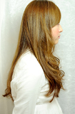 Х쥤襤ʤSHIZUO'sإ