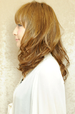 Х쥤襤ʤSHIZUO'sإ