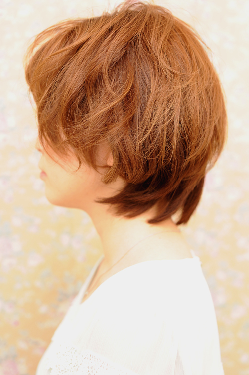 ͤκvol.41