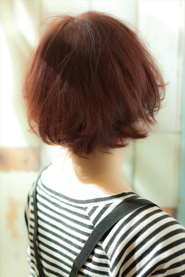 Ф襤쥫奢륷硼
