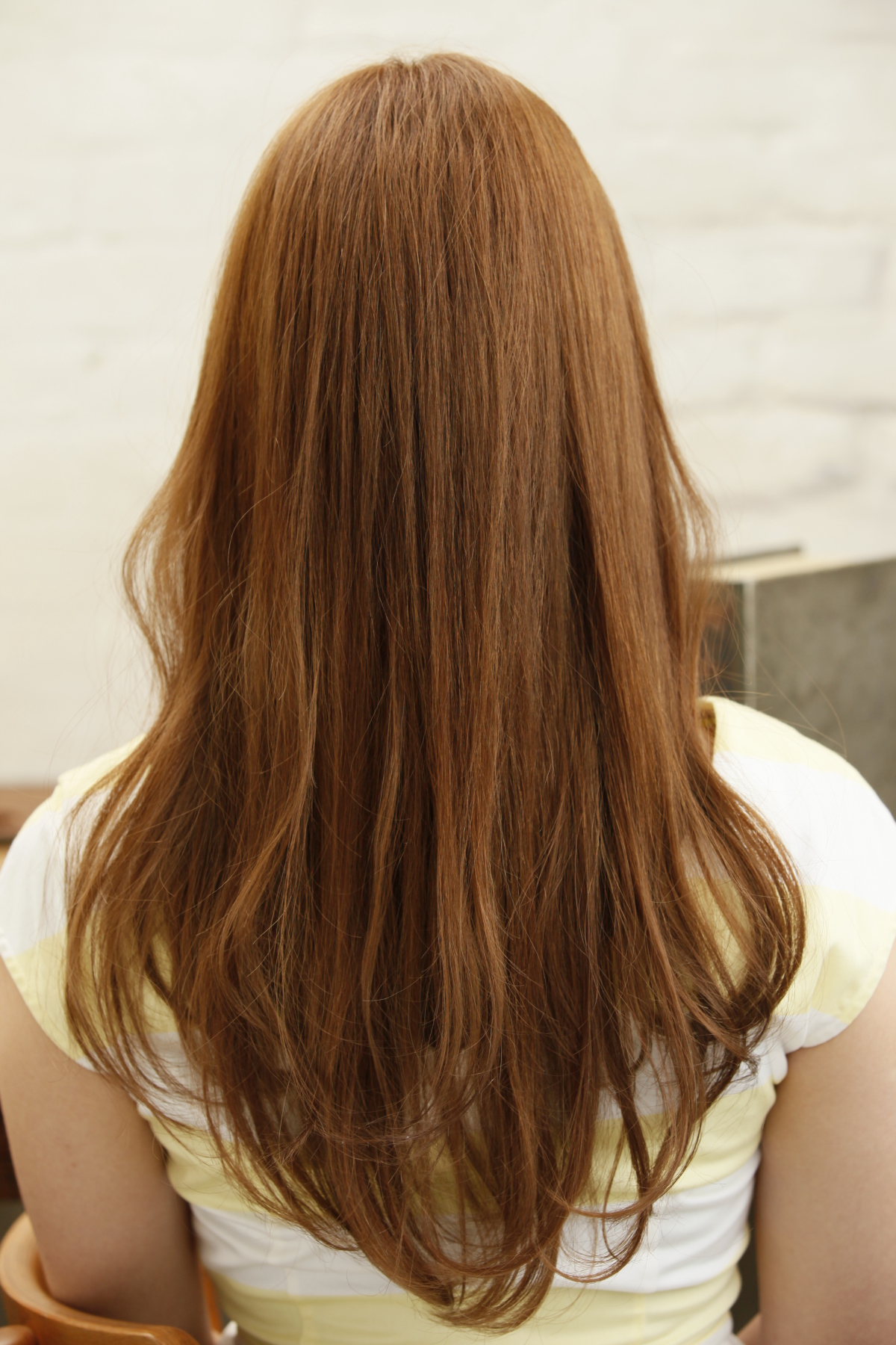 �פ鷺���줿���ʤ롡���餫��������������