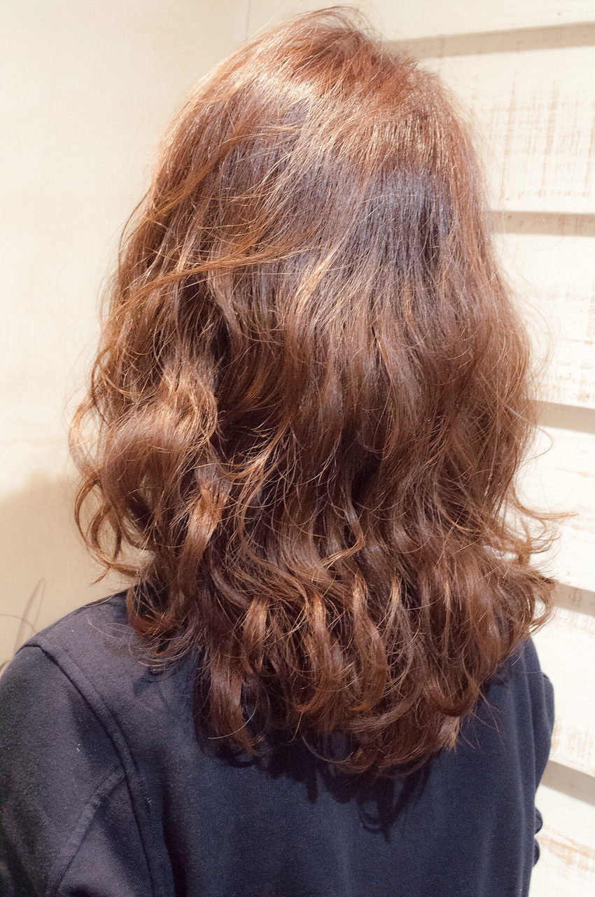 �إ륷�����ʥ�󥫥顼�ν��餫�������֥إ���