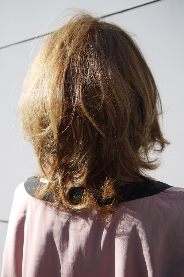 �����ܡ��ե�� ���ϥͥ쥤�䡼��