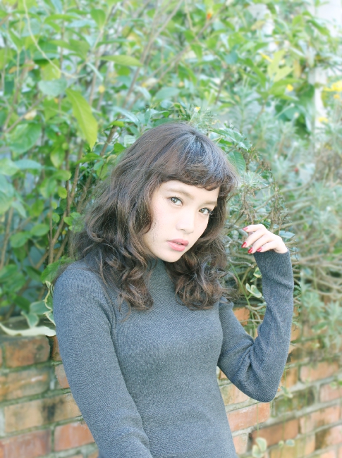 �ߥǥ�����ѡ���