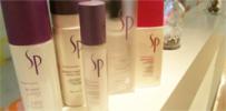 ȱǺߤWELLA SP