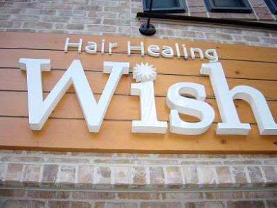 Hair Healing Wish