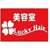 Ƽ Lucky Hair ¿Ź ӥ襦 åإ ƥ