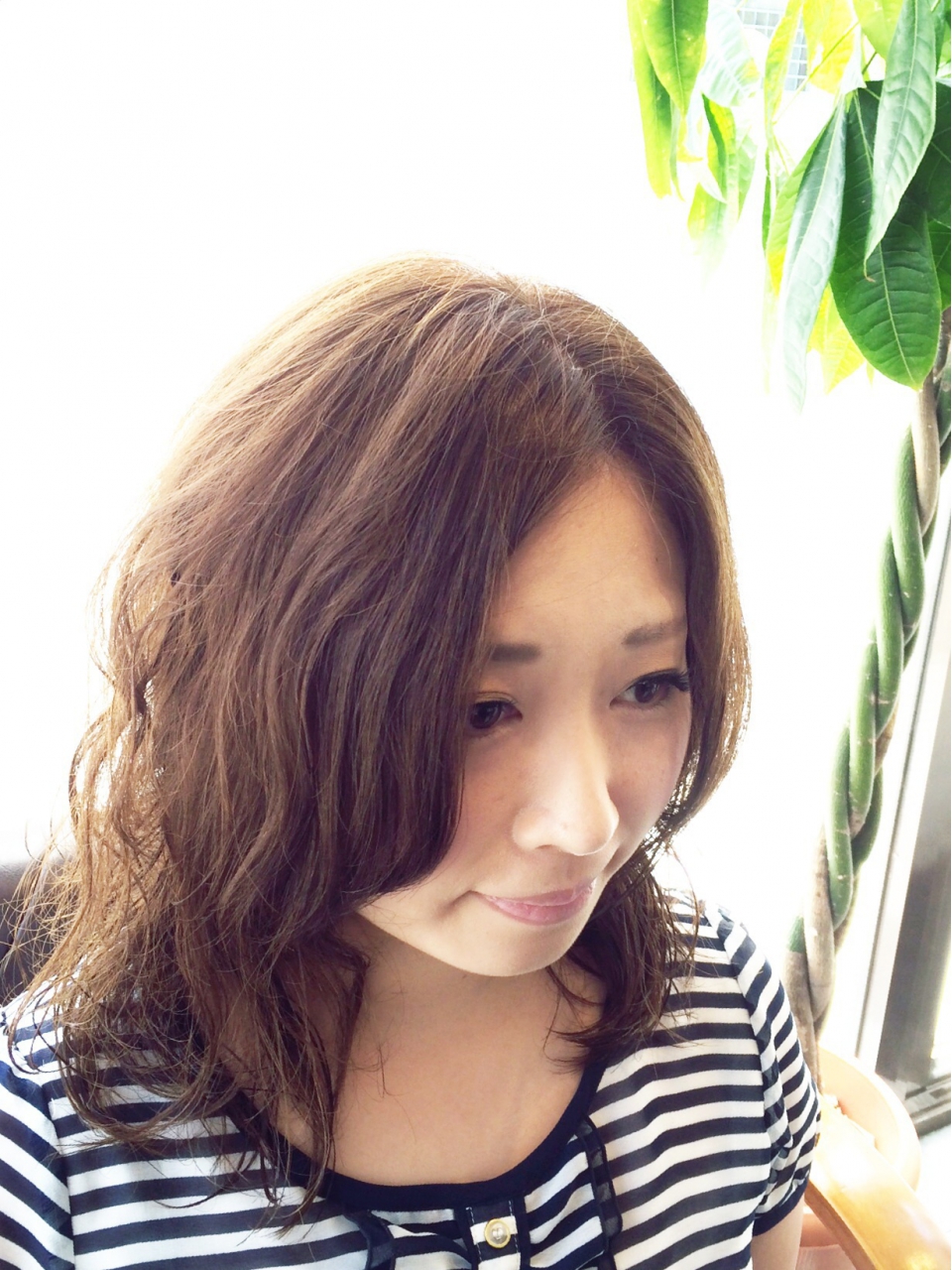 ʥ륦