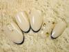 ꥪչ7980|NAIL SALONiS ŹΥإ