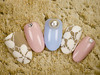 ꥪչ8980|NAIL SALONiS ŹΥإ