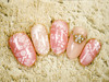 ꥪչ8980|NAIL SALONiS ŹΥإ