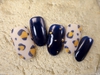 B󥪥չ7500ߡ|NAIL SALONiS ܹŹΥإ