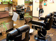 COURT -Nail-