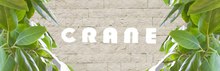 CRANE 南青山店  | クレイン　ミナミアオヤマテン  のロゴ
