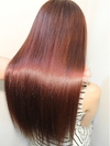 ڴưΰ۽Ӷܥåȡȱȥ꡼ȥȡʥס֥ߡˡ37,950  