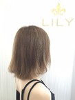 LILY ȥ١ܥ|LILY SHINSAIBASHIΥإ