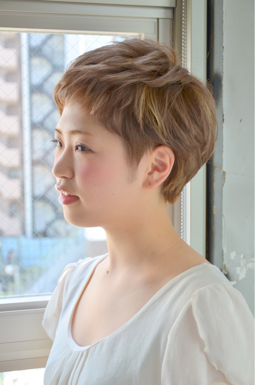 MUSEUMۥ֥ƥ奷硼