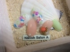 ϥ2֥|Nailish Salon AΥإ