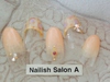 2016ͥ롿쥪ѡ|Nailish Salon AΥإ