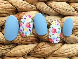 11988ߡʿ9590ߡ|ڥѥ饸谷ۤޤӥơͥ FIKAʥե  ͤΥͥ