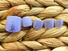 11016ߡʿ8812ߡ|ڥѥ饸谷ۤޤӥơͥ FIKAʥե  ͤΥإ