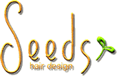 Seeds  | シーズ  のロゴ