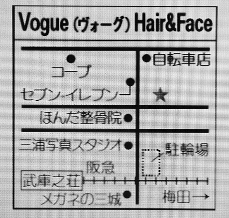 Vogue Hair&Face    